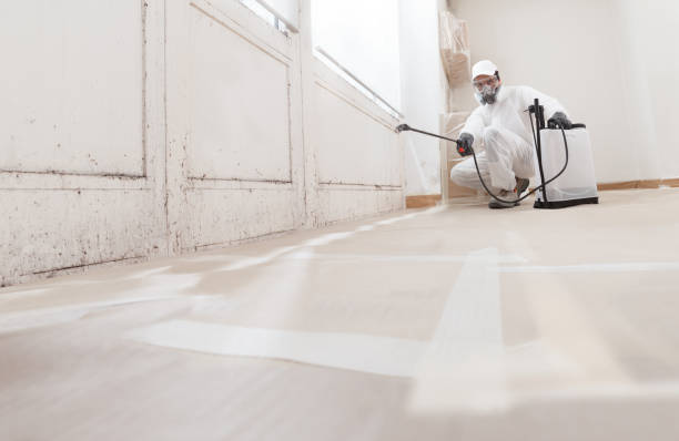 24/7 Emergency Mold Cleanup experts in Annandale, VA