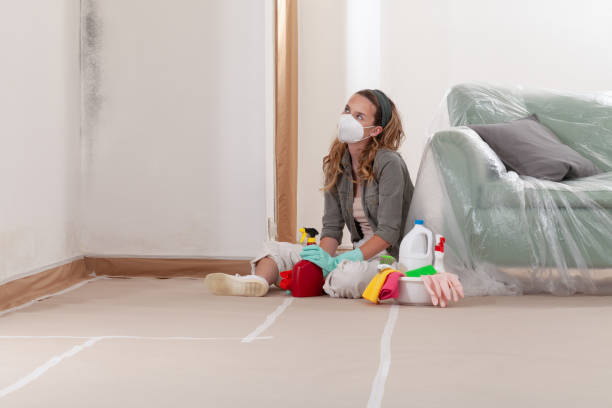 Reliable Mold Cleanup contractor in Annandale, VA by Cheap Mold Removal